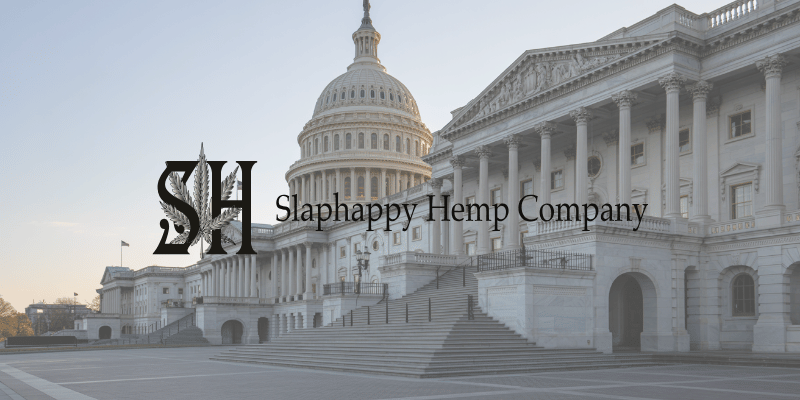 washington dc hemp extension